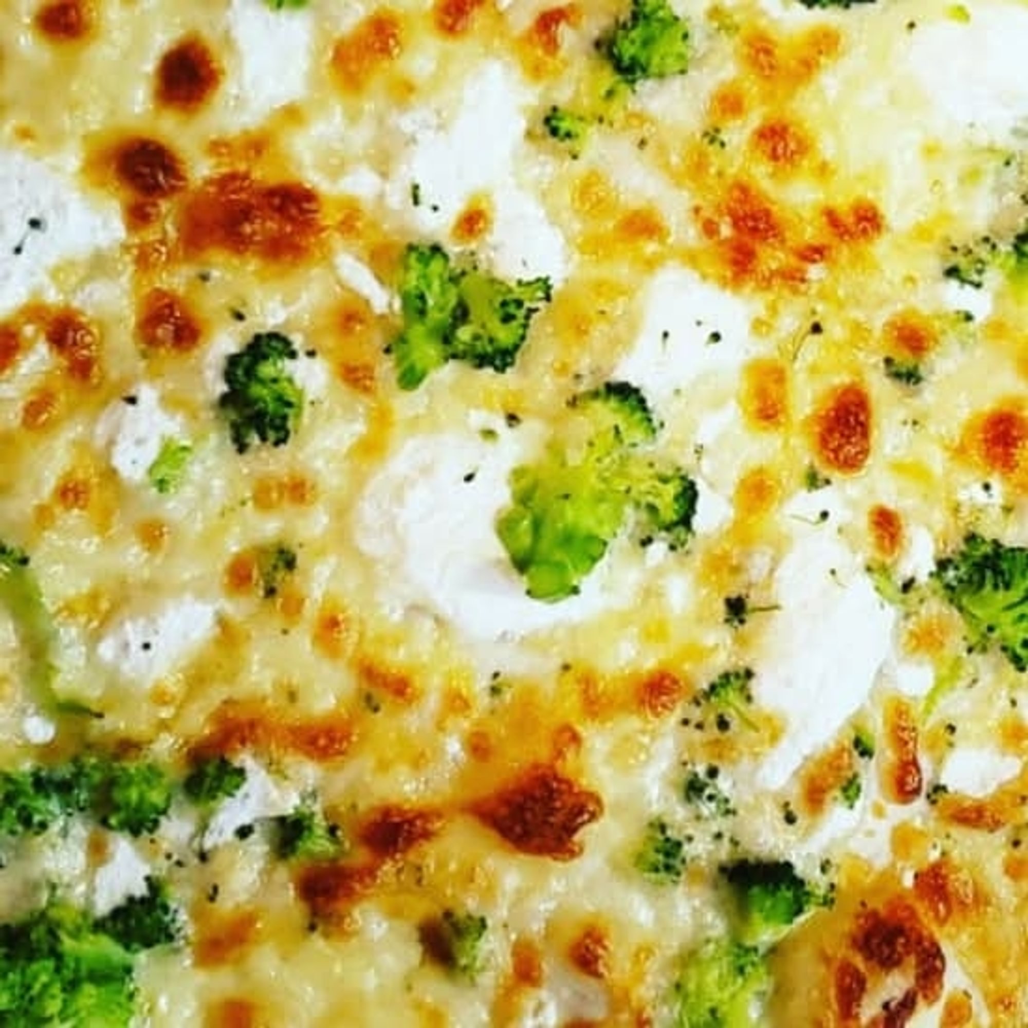 White Pizza M-14"