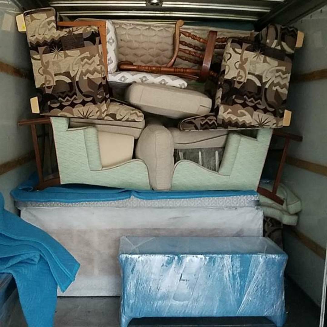 Swamp Rabbit Moving Image