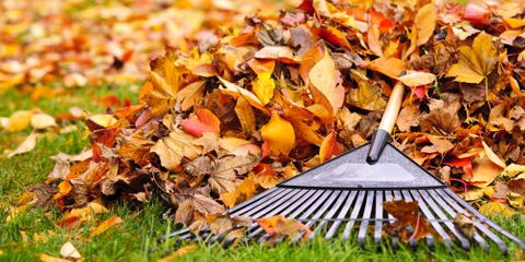 3 Lawn Maintenance Tips for Fall