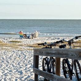 The Palmview Inn Logo