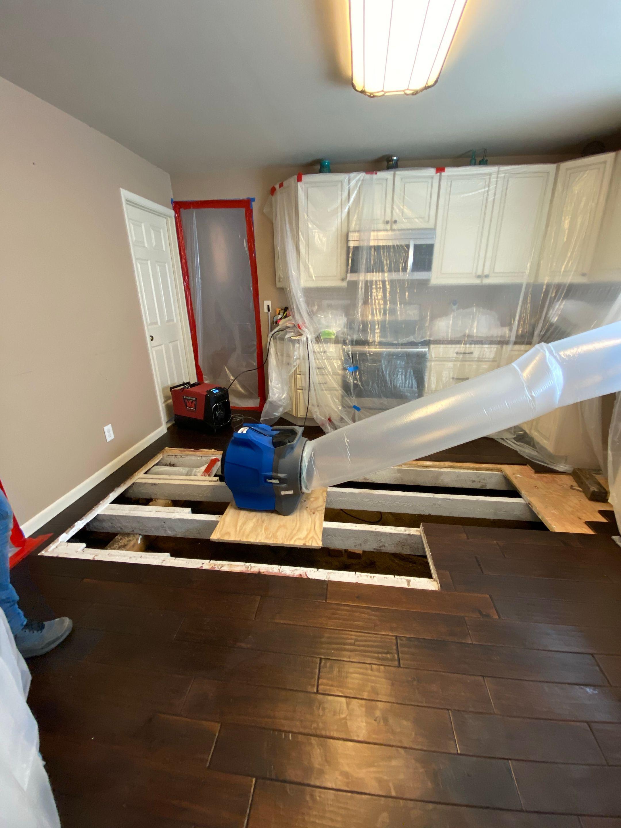 Anatom Restoration Image