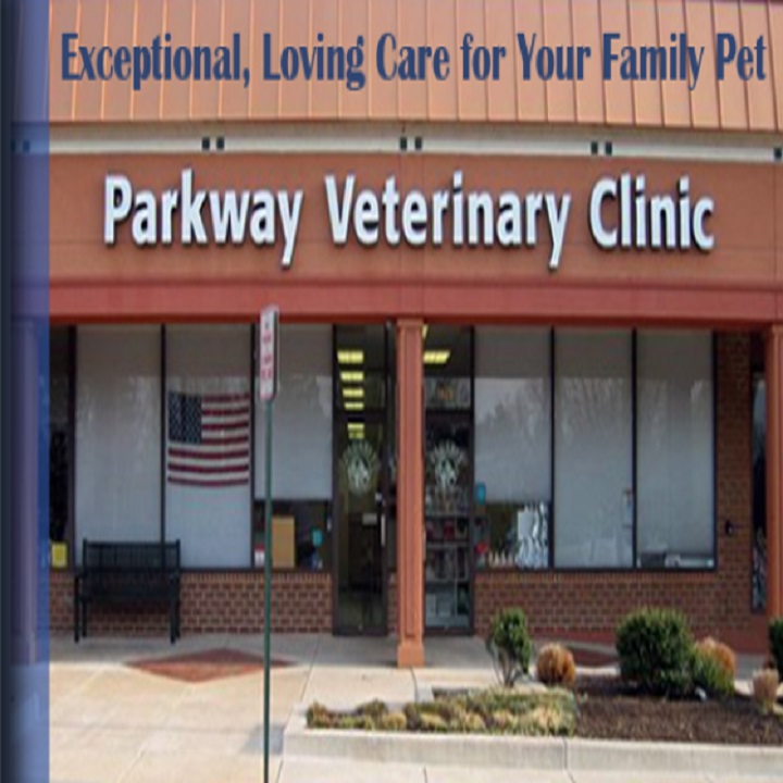 Parkway Veterinary Clinic in Burke, VA 22015 | Citysearch