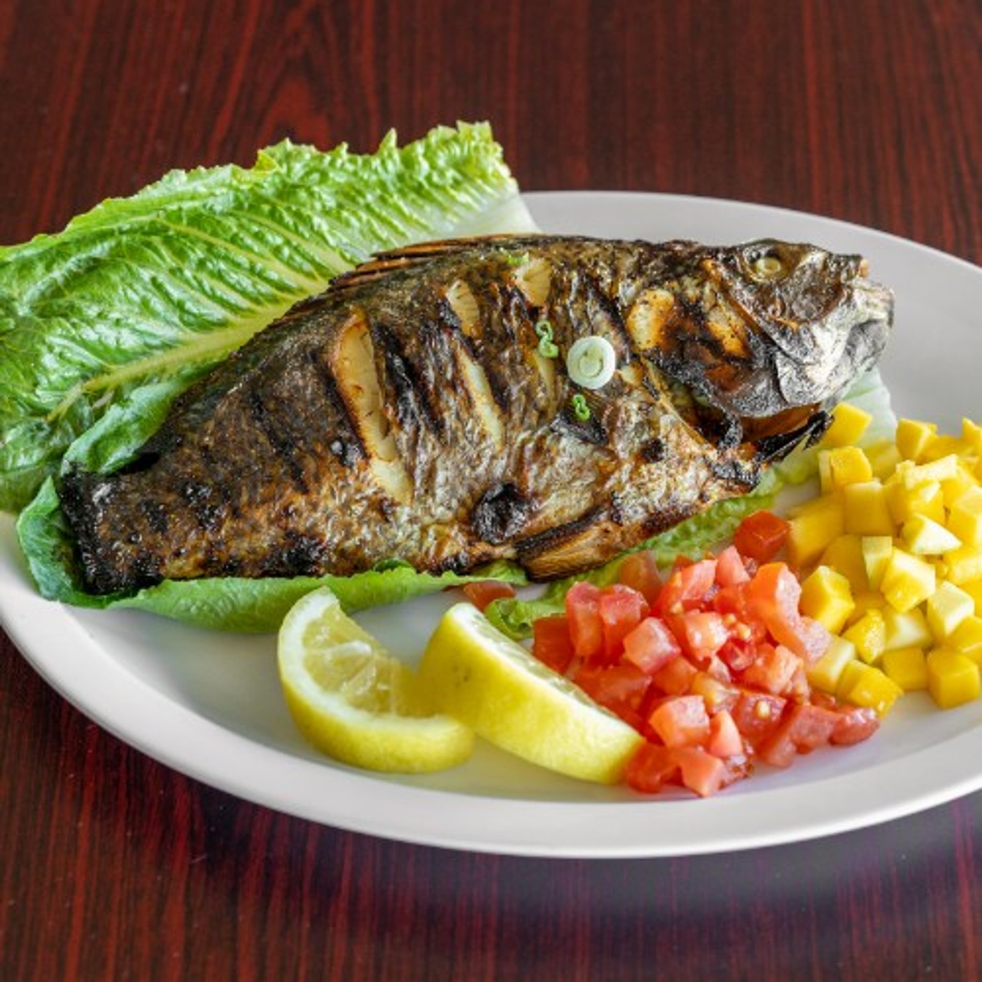 Tilapia