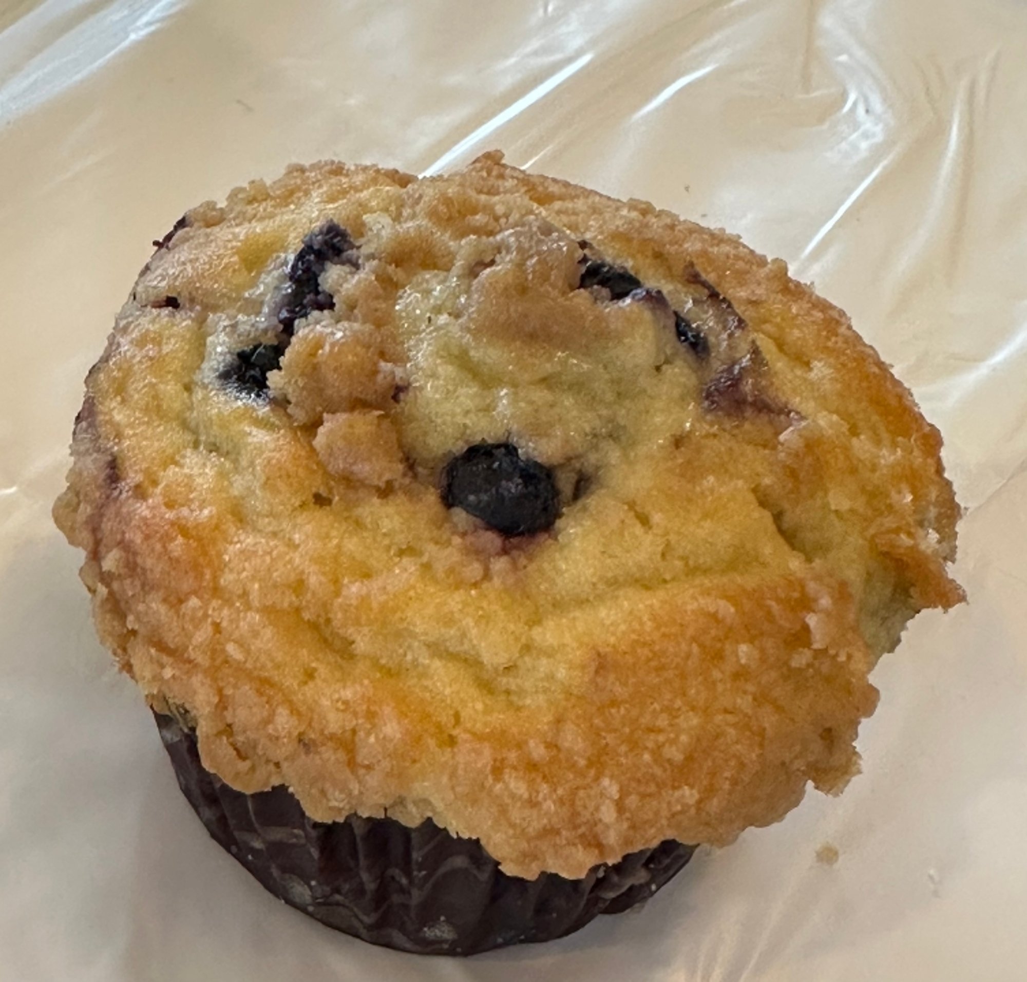 Blueberry Muffin