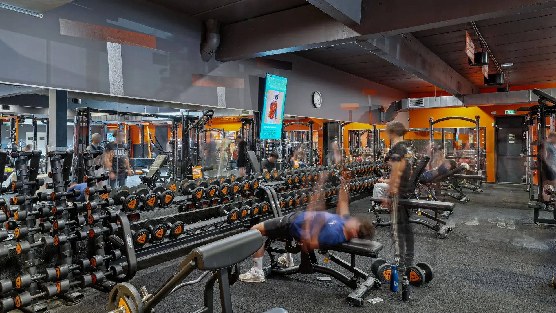 Miniature de la galerie