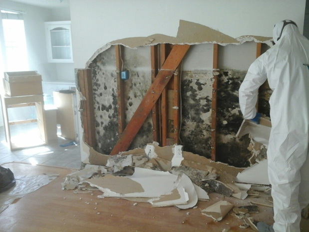Images Home Restorers, LLC