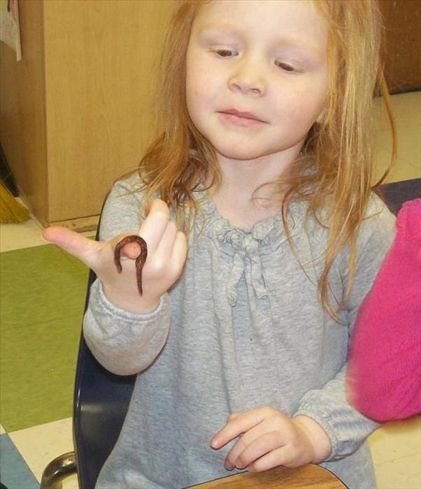 Exploring worms in the science center