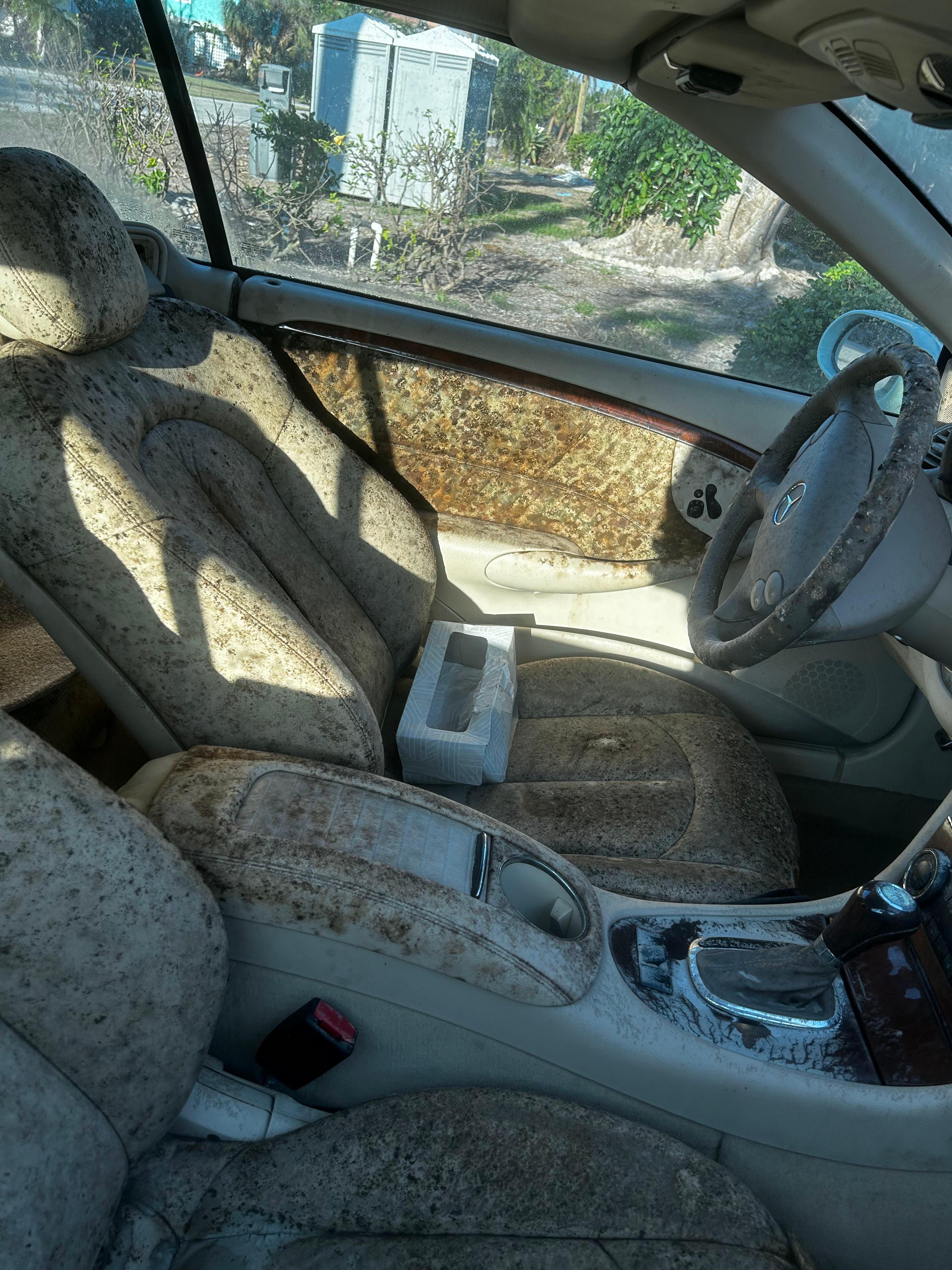 Mold Response Team Image