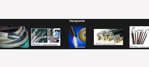 Galería en miniatura