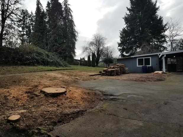 Images Tim's Tree Removal And Services LLC