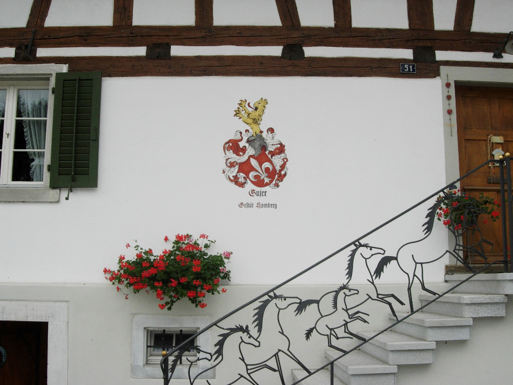 Bilder Hintermann Wolfhausen AG