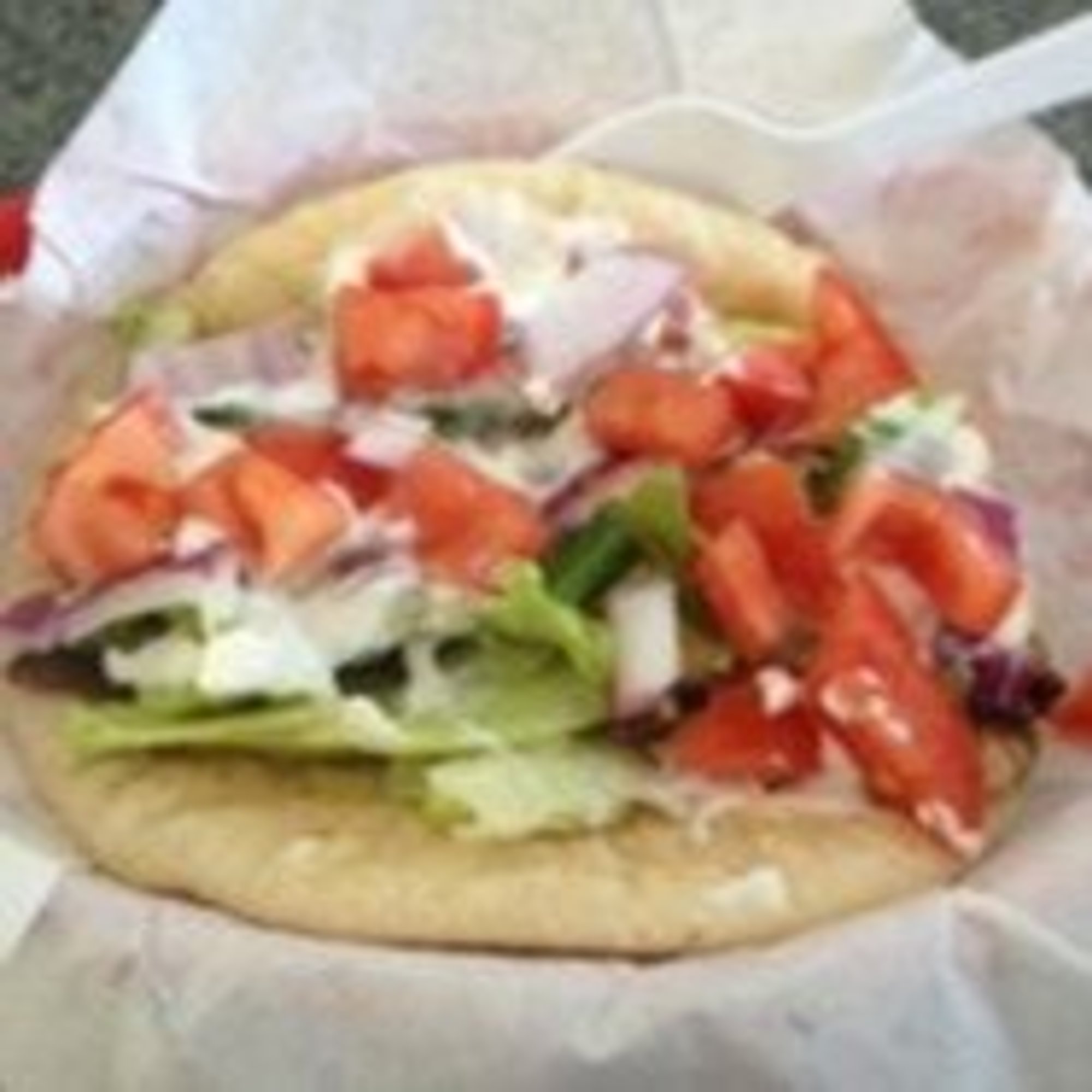 Veggie Gyro Sandwich