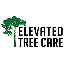 Elevated Tree Care Logo