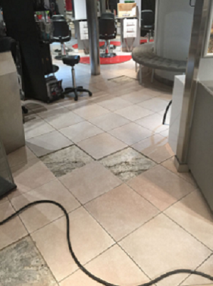 Flooring Store in QC Brossard J4W 2Y7 TSST Inc 6740 rue Pinard (514)809-1321