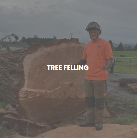 Advanced Tree Management Image