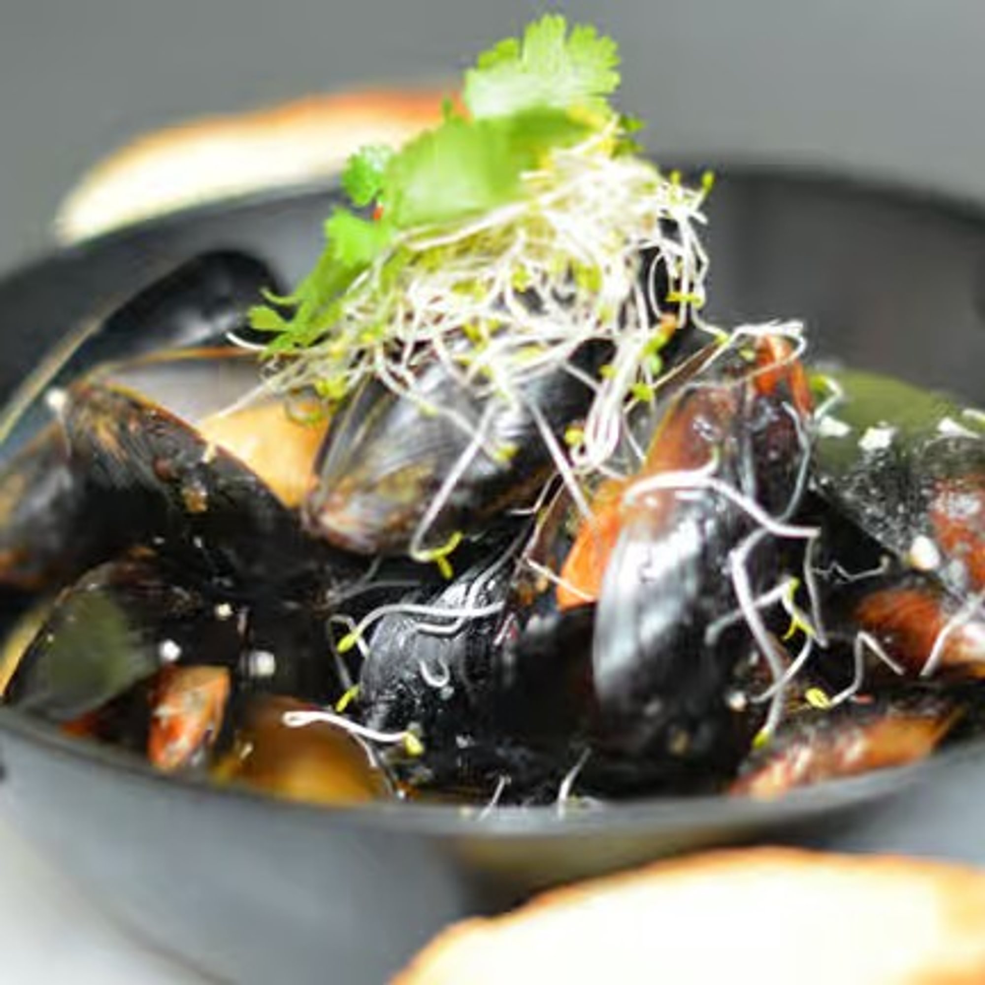 Blue Mussels