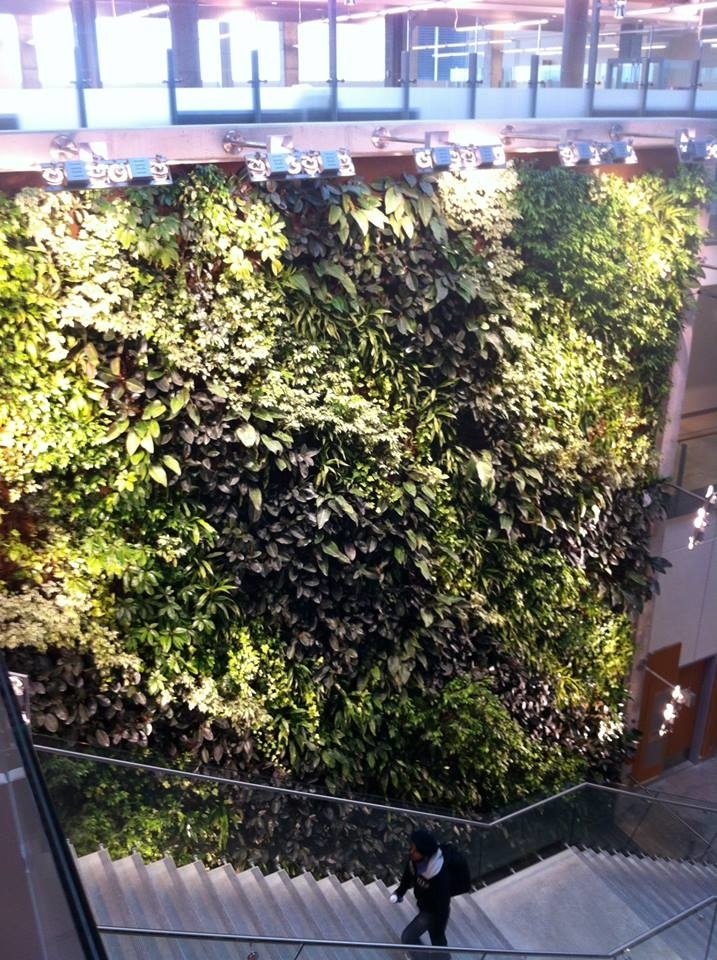 Images Bergen Landscaping