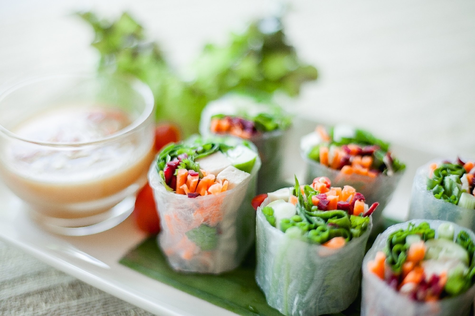 Fresh Summer Roll