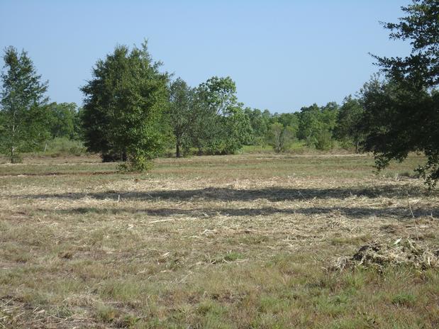 Images GHR Tractor Mowing & Land Clearing