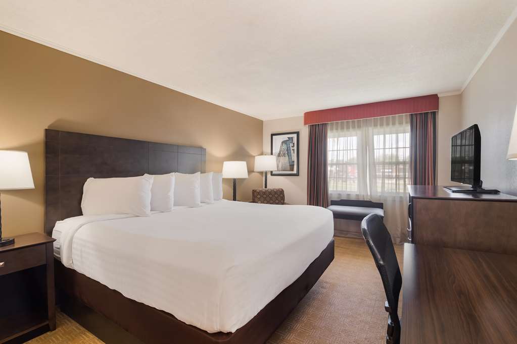 Best Western University Inn Image