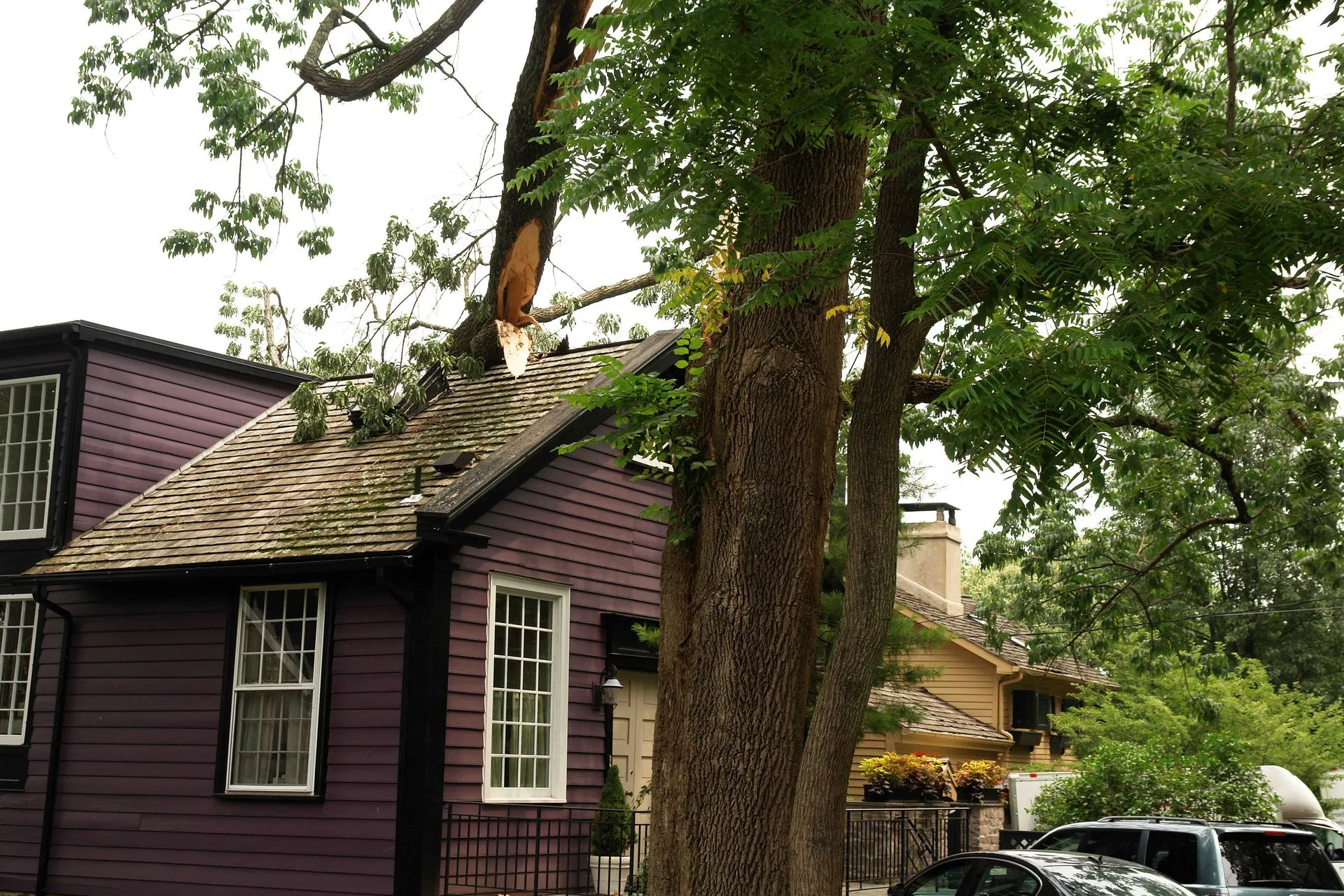Emergency Roof Repair