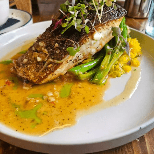 Salmon