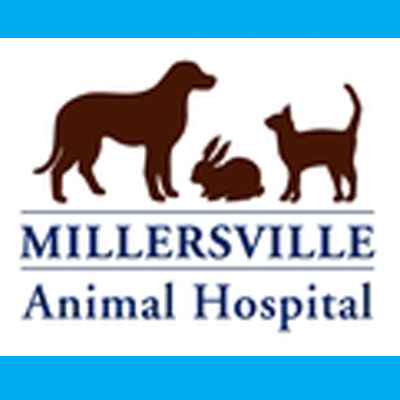 Millersville Animal Hospital