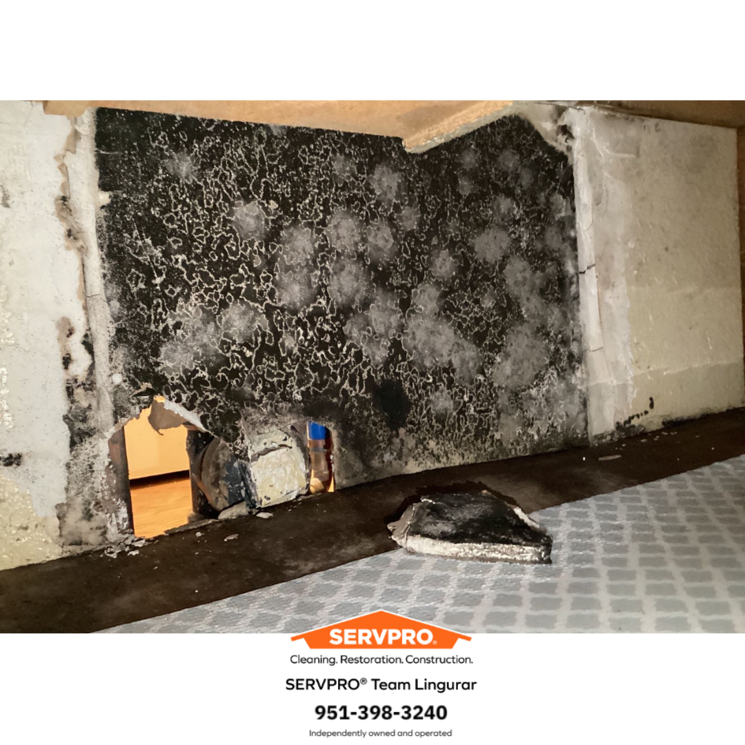 SERVPRO of Temecula Image