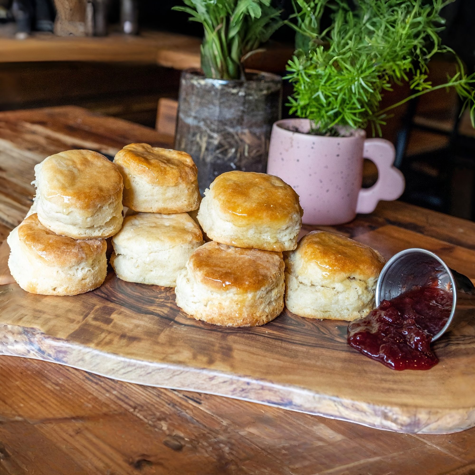 Biscuit - Side