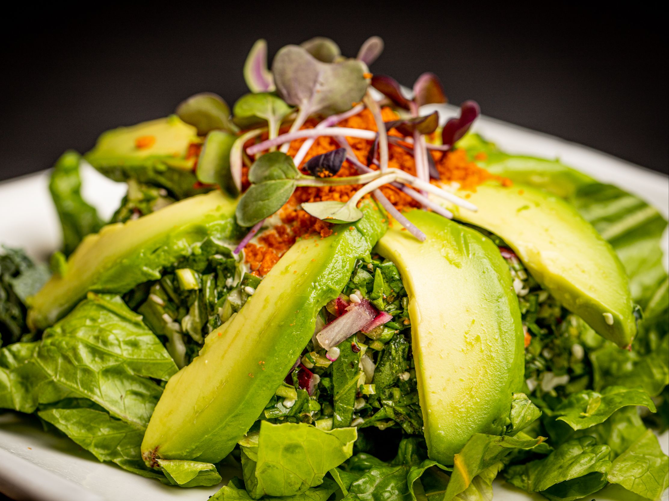 Dandelion Salad