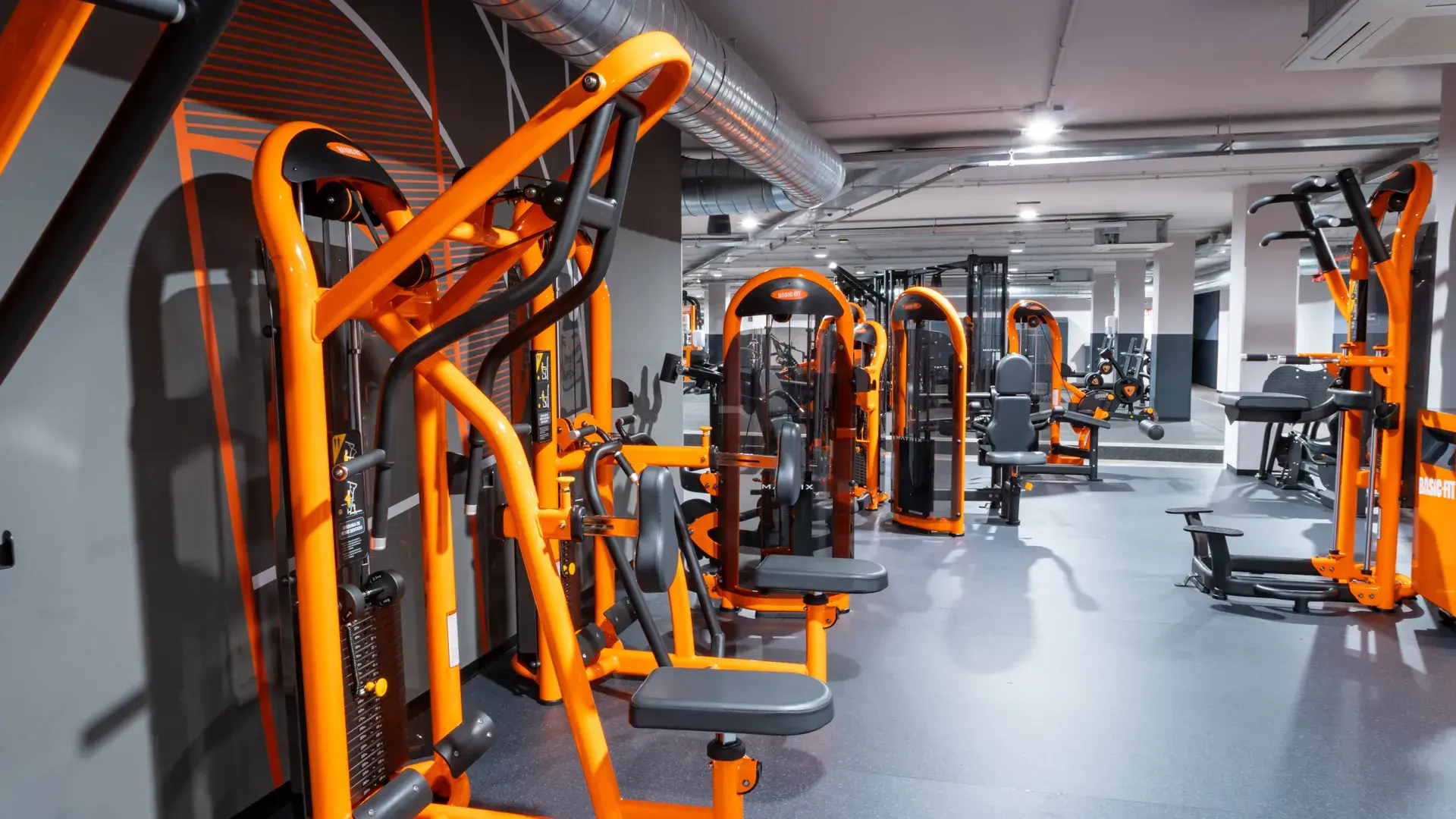 Galería de imágenes