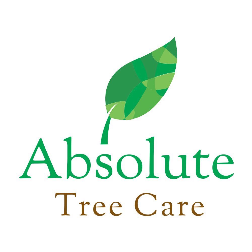 Absolute Tree Care Logo