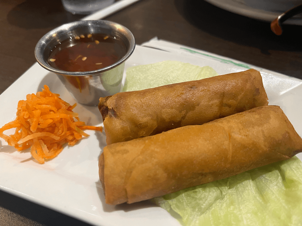 A2. Fried Vegetable Spring Roll