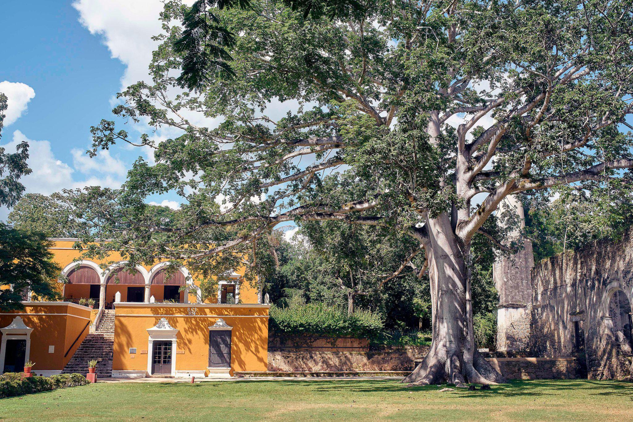 Foto de Hacienda Uayamon Campeche