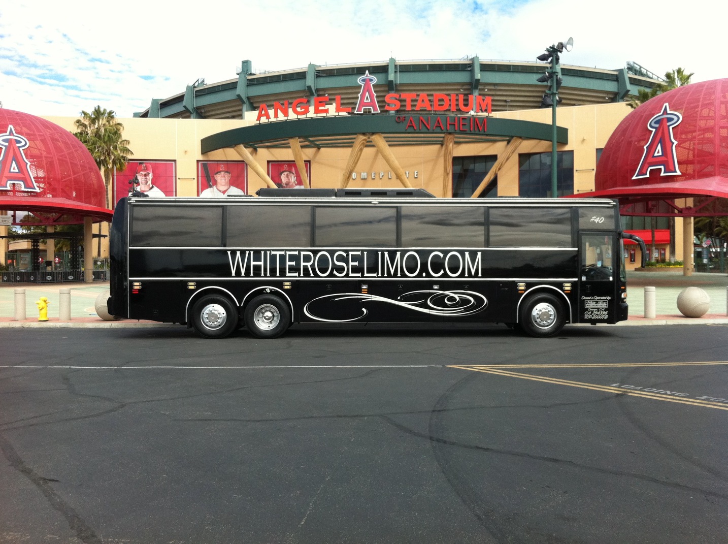 White Rose Limousine Inc Photo