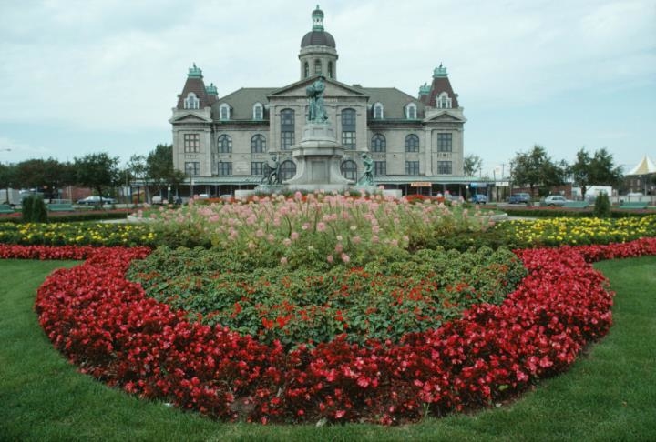 Crop Tops Tree Trimming & Lawn Care SVCS Image