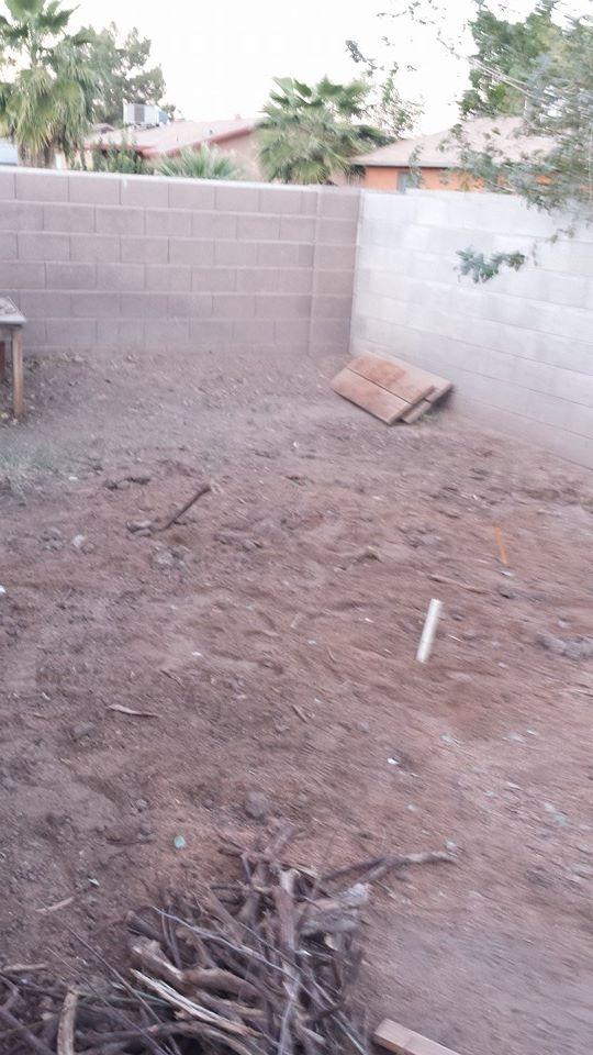 Pendleton Tree Service Yuma, AZ Business Profile