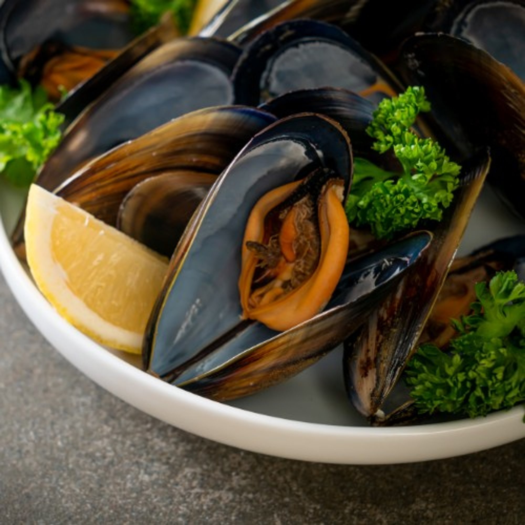 Steamed Mussels