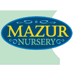 Mazur Nursery Logo