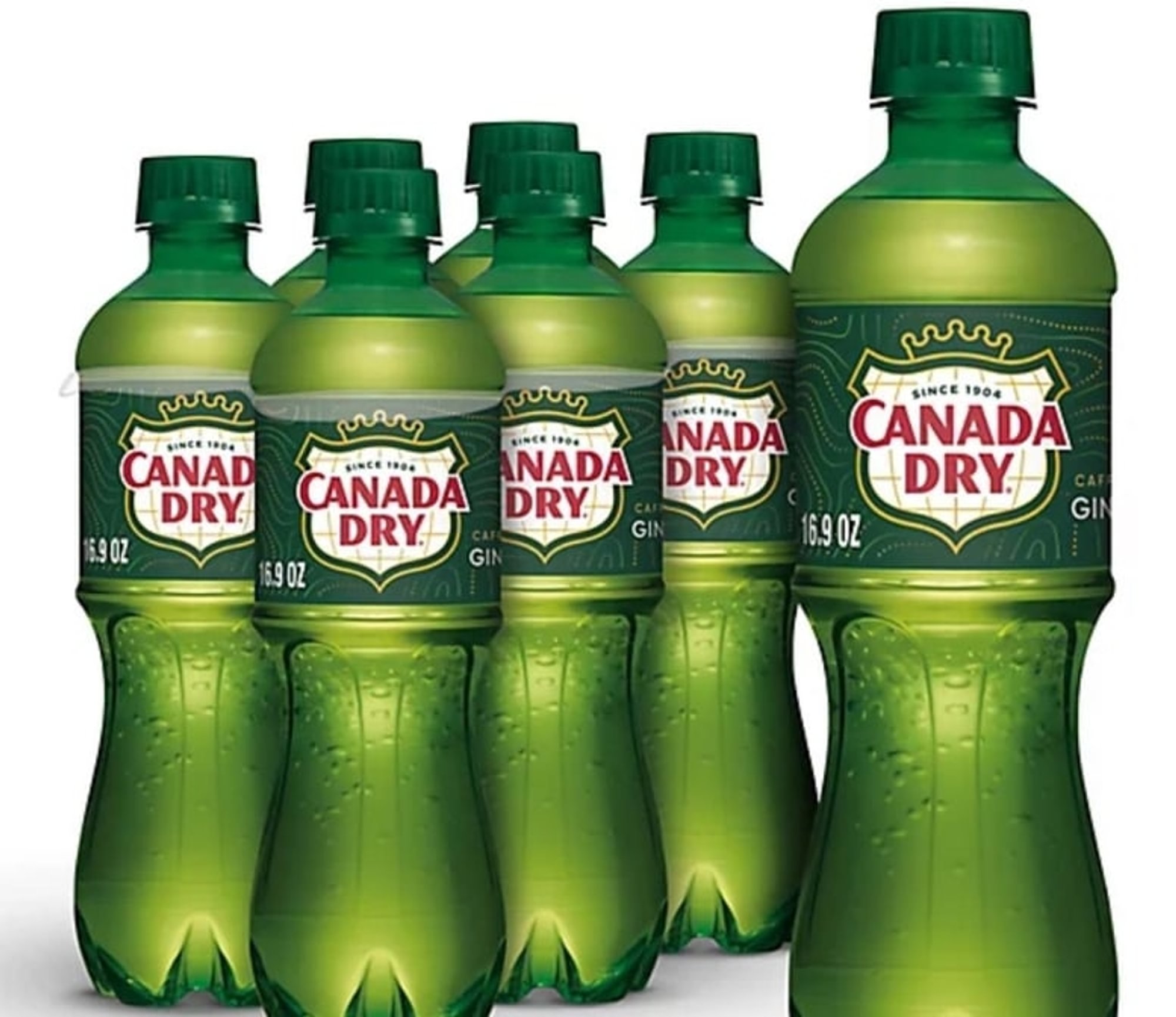 Ginger Ale Soda