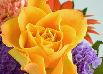 Bussey's Florist & Gifts Image