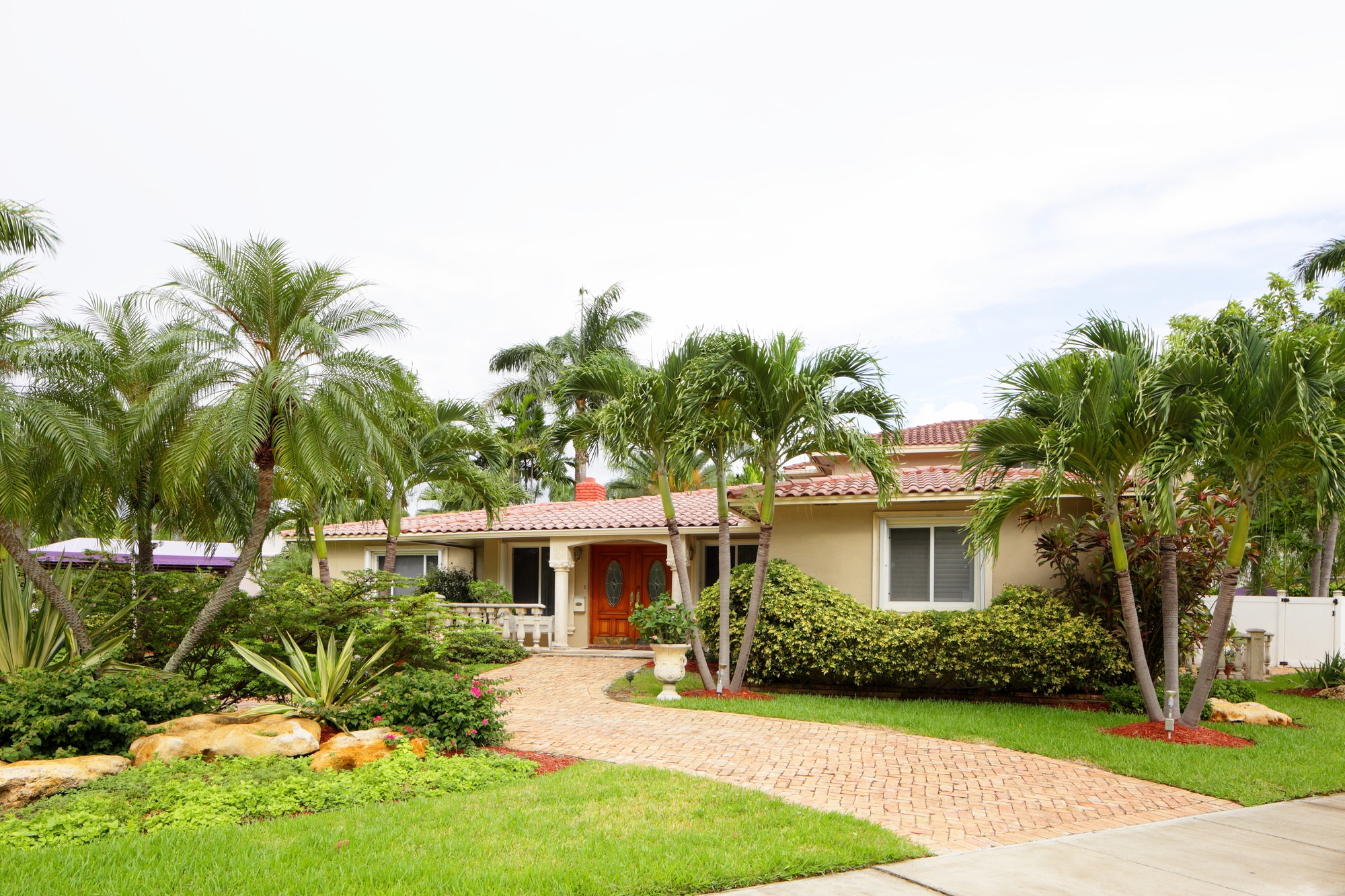 Tree Service Henderson 2505 Anthem Village Dr, Henderson, NV