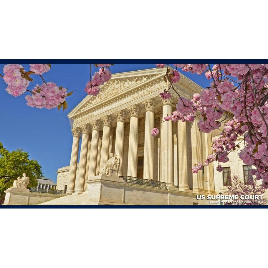 Stein and Shulman LLC