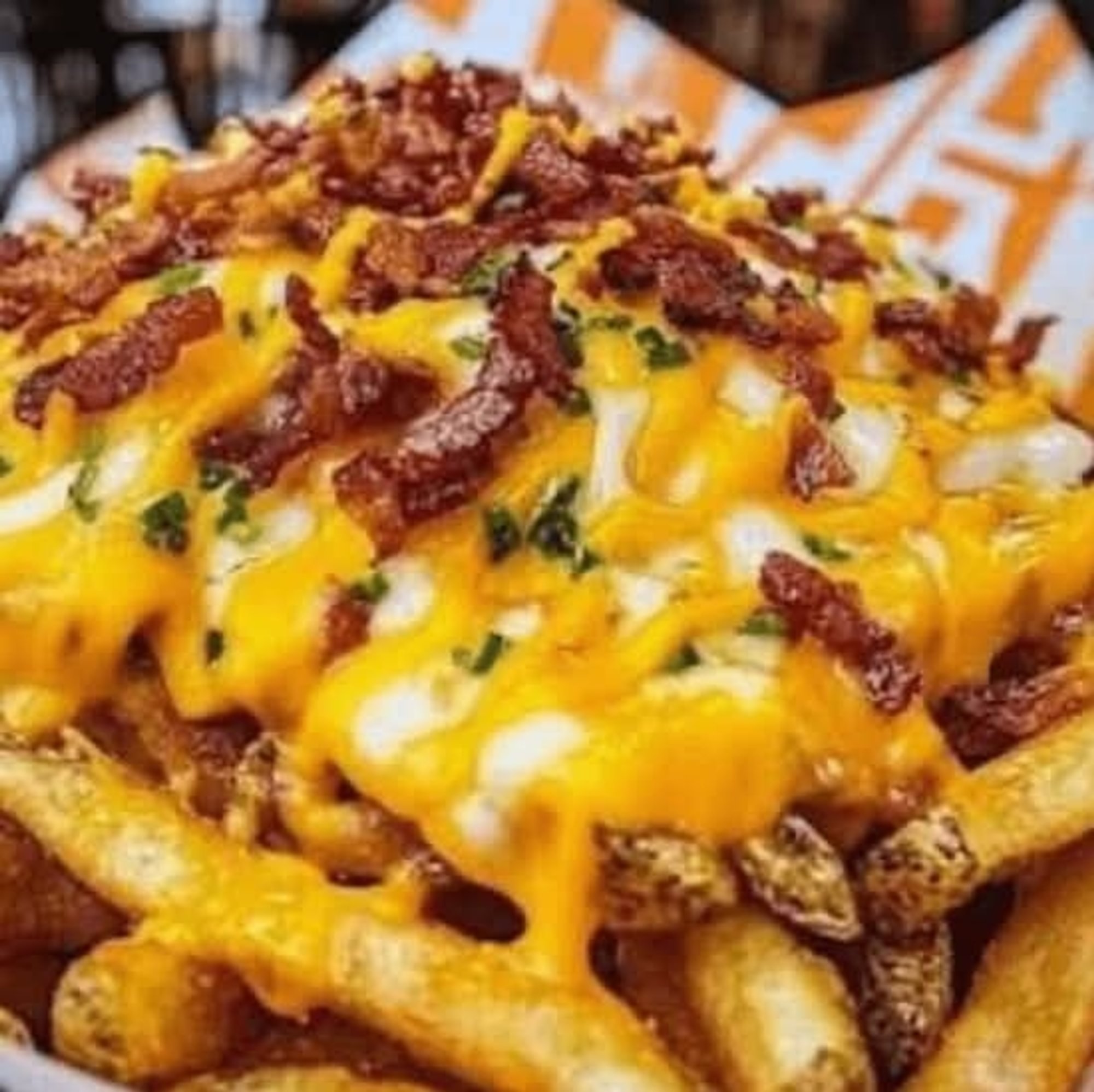Bacon Cheese Fries