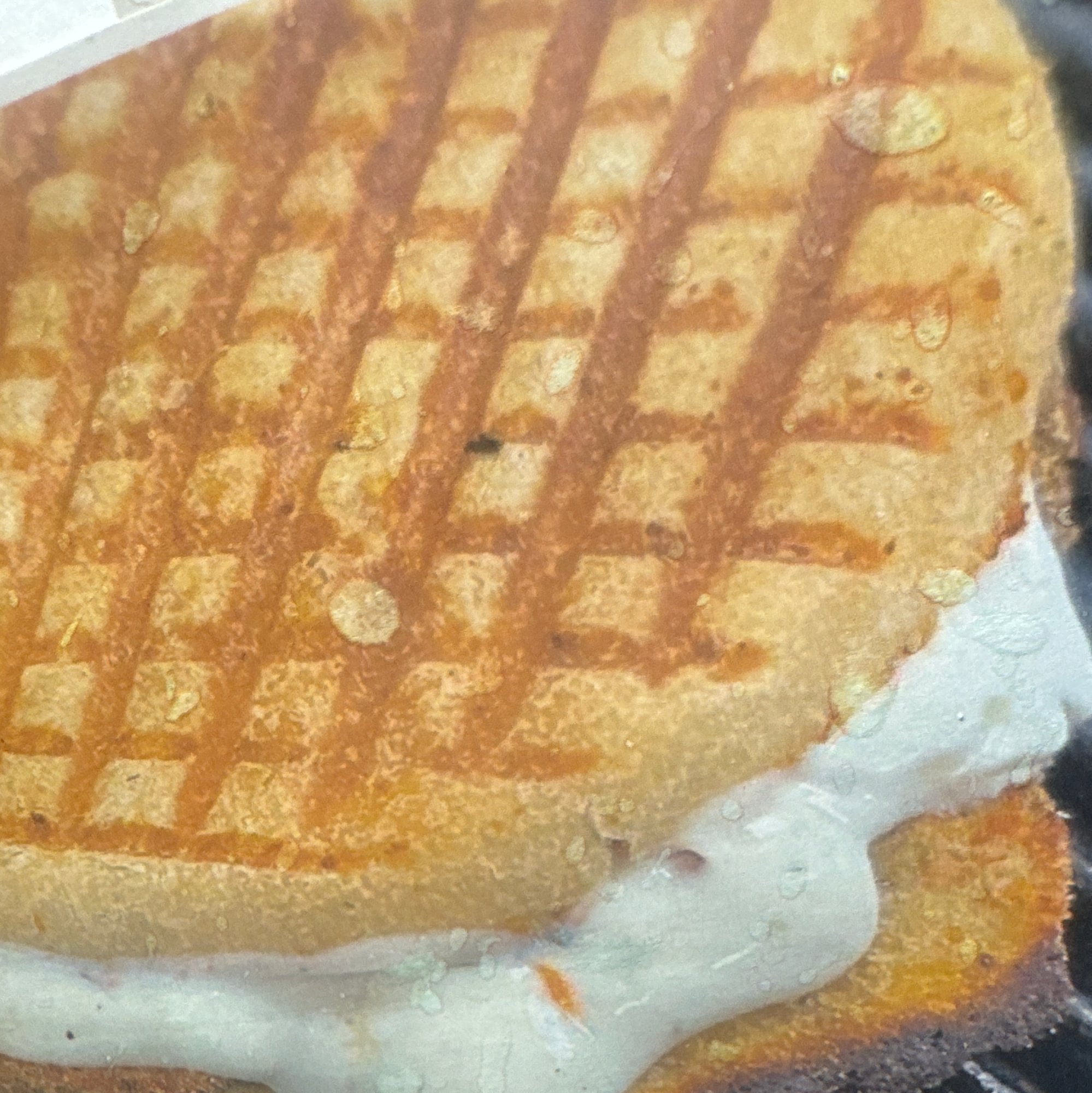 Chicken Caesar Salad Panini