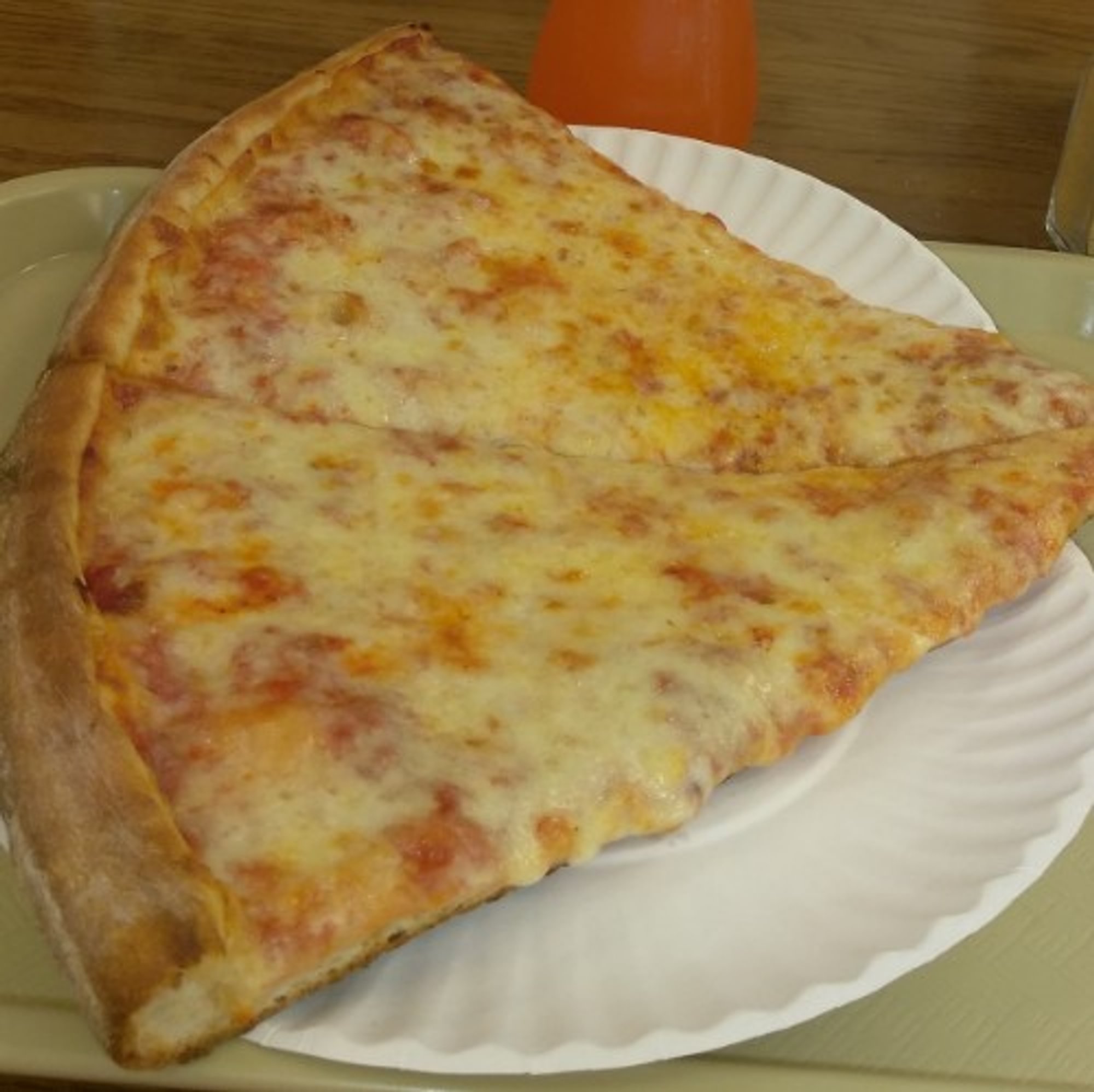 Plain Pizza Slice