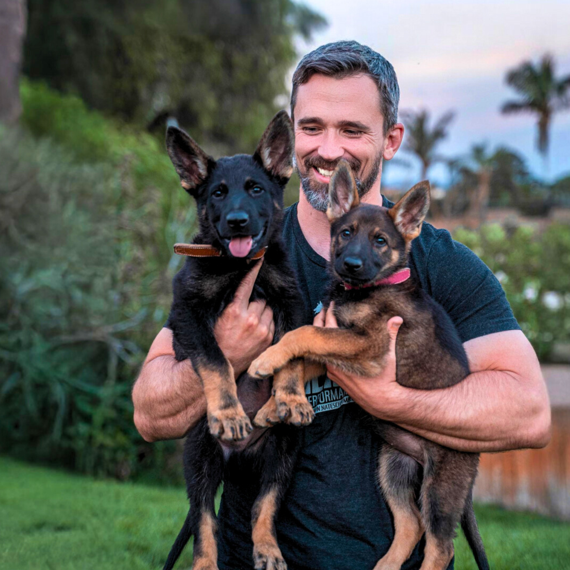 Nate Schoemer Dog Training Image