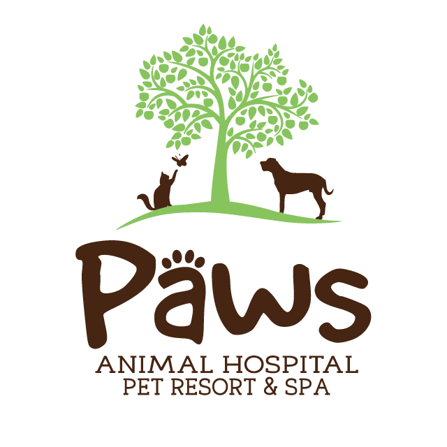 Pampered Paws Animal Hospital Photo