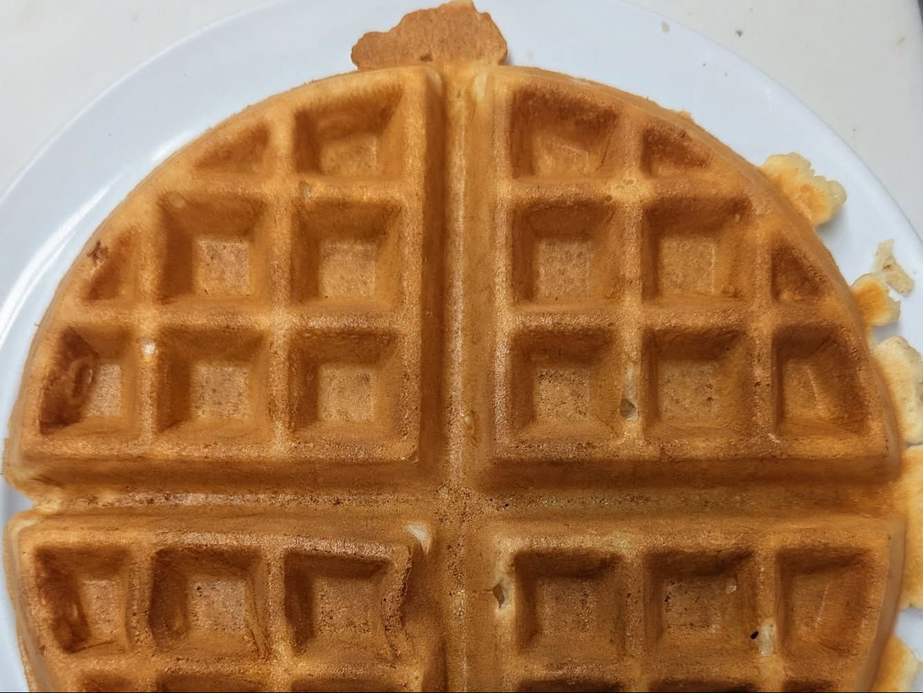Plain Waffle