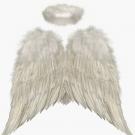 Caring Angel, LLC